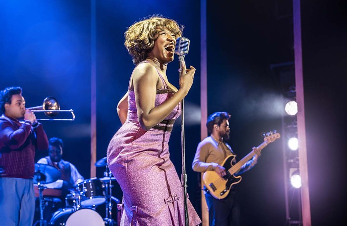 Tina: The Tina Turner Musical review